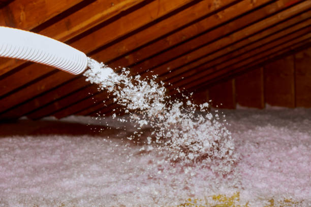 Best Insulation Maintenance and Repair in Dillingham, AK