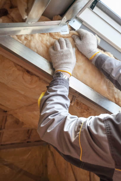 Best Spray Foam Insulation in Dillingham, AK