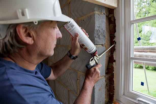 Best Residential Insulation in Dillingham, AK