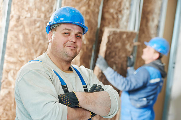Best Cellulose Insulation in Dillingham, AK